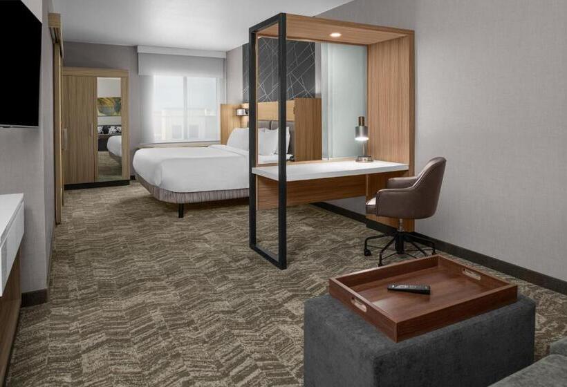 Люкс Адаптированный для Инвалидов, Springhill Suites By Marriott Riverside Redlands