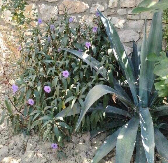 סוויטת דלוקס נוף לים, Vogklis House