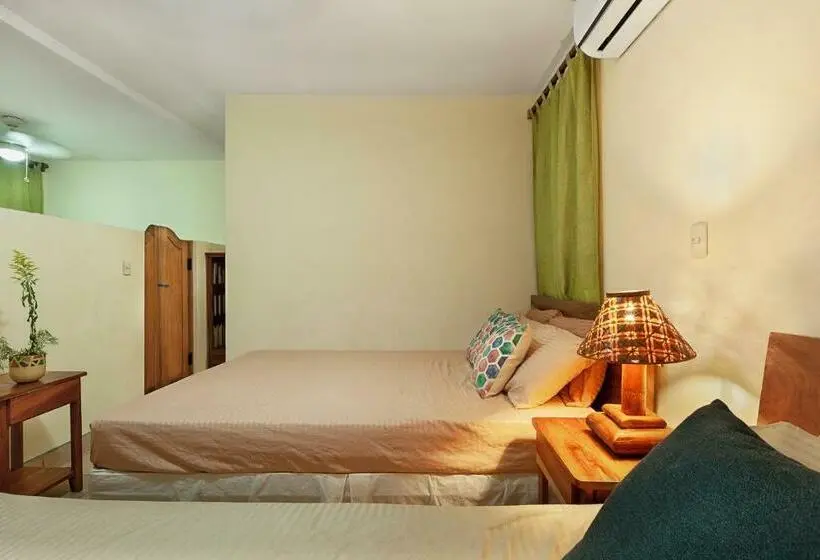 Perhehuone, Hostel Tropical And Coworking