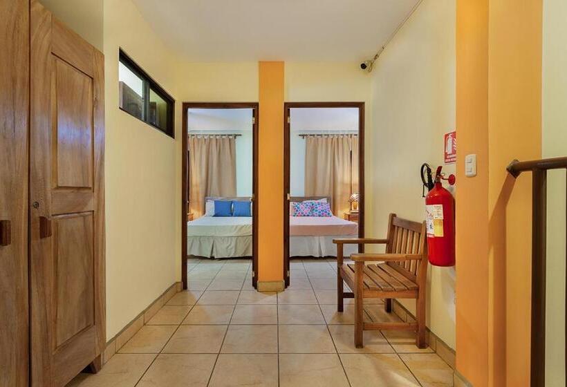اتاق استاندارد, Hostel Tropical And Coworking