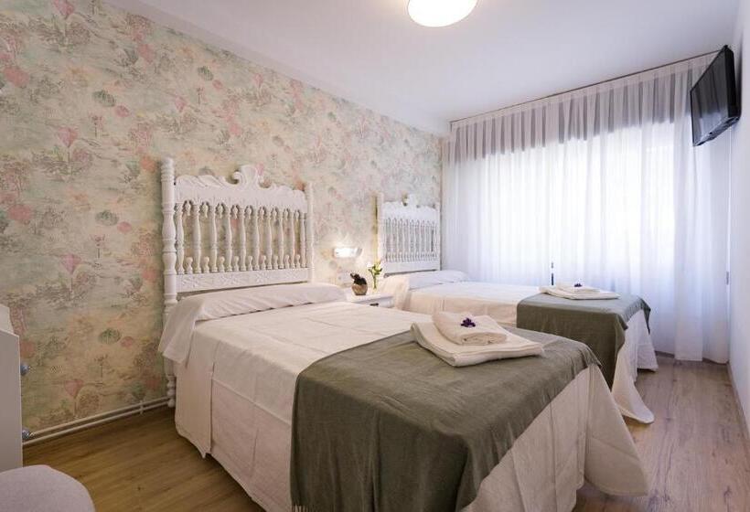 Camera Standard, Pensión Ferradura