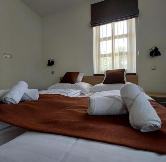 غرفة قياسية, Pálffy59 Vendégház