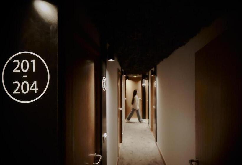 Номер Deluxe, Zarey Hostel