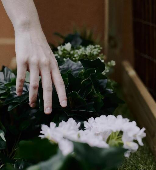 庭の見える1ベッドルームアパートメント, Zarey Hostel