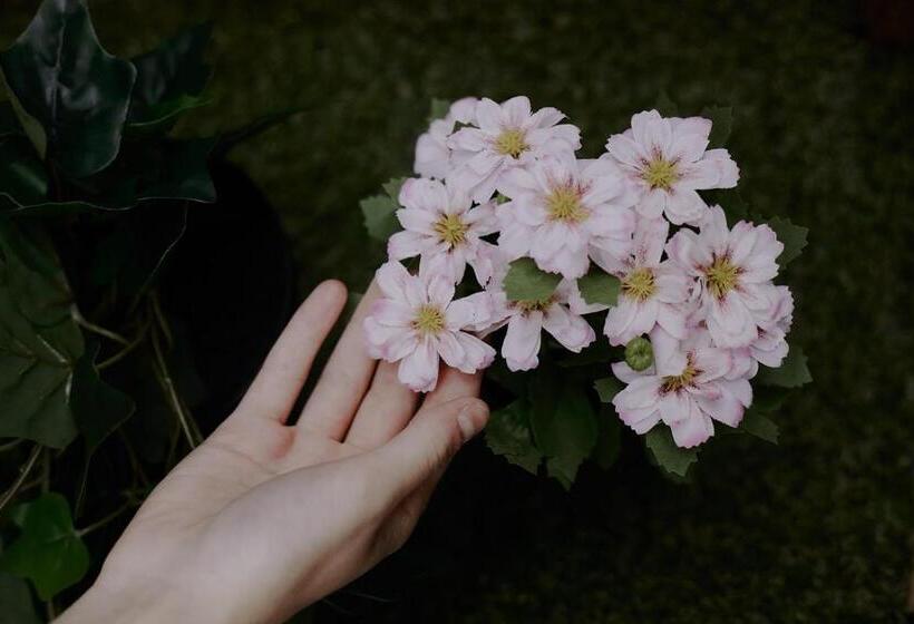 Апартаменты 1 Спальня, Zarey Hostel