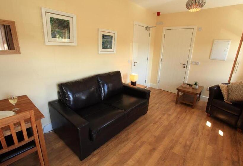 إستوديو كلاسيكى, O'donnabhain's