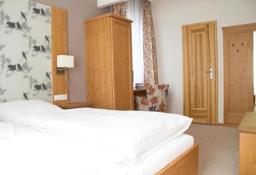 スタンダードルーム, Bellevue