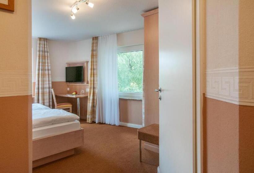 スタンダードルーム, Bellevue