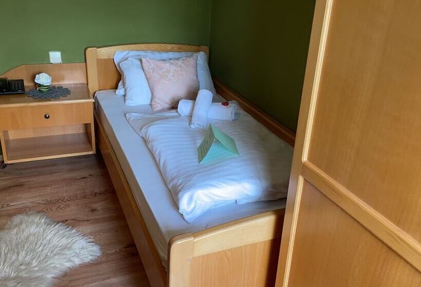 스탠다드 싱글 룸, Berghotel Drei Brüder Höhe