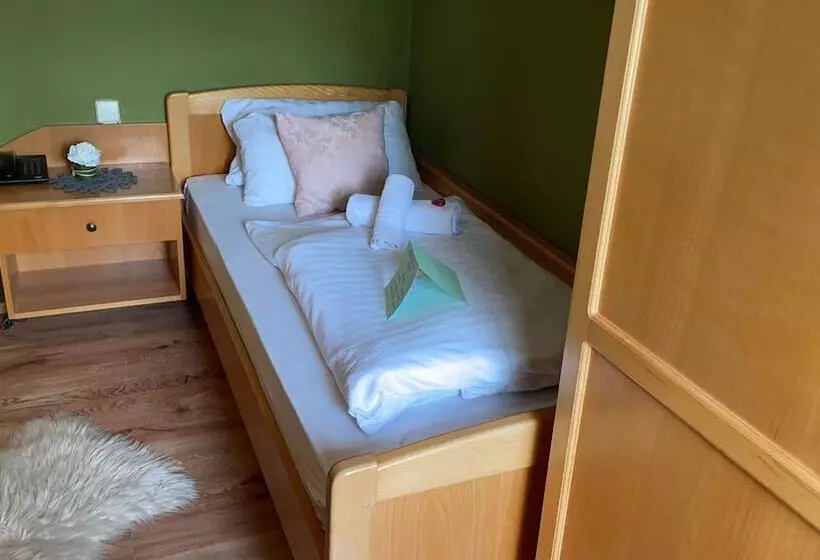 Standard Yhden Hengen Huone, Berghotel Drei Brüder Höhe