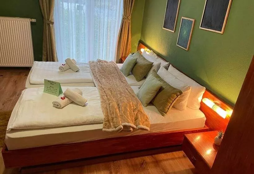 Standard-huone, Berghotel Drei Brüder Höhe