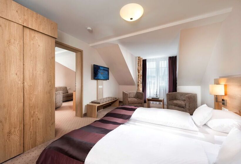 Апартаменты 1 Спальня, Best Western Plus Hotel Willingen