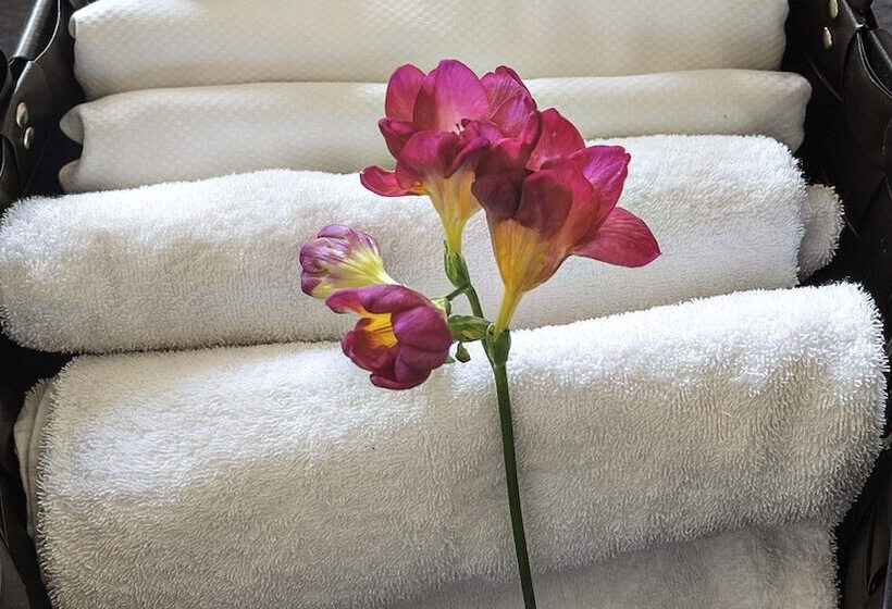 غرفة سوبيريور فردية, Das Park