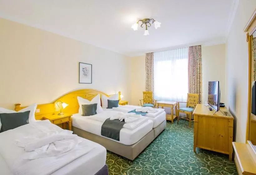 スタンダードトリプルルーム, Ferien Hotel Fläming