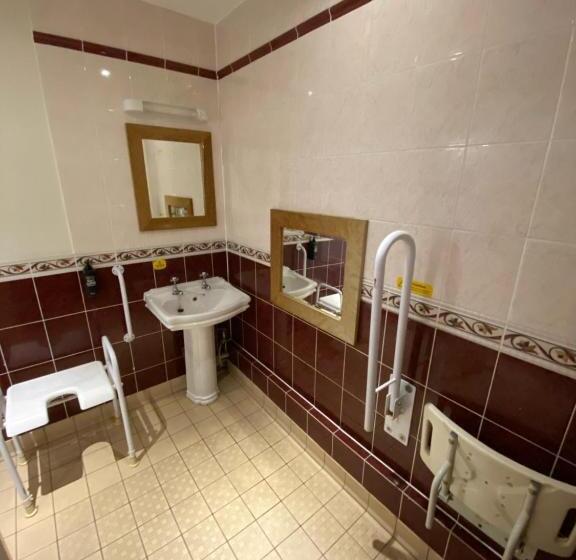 غرفة قياسية لذوى الاحتياجات الخاصة, Ibis Budget Bromsgrove