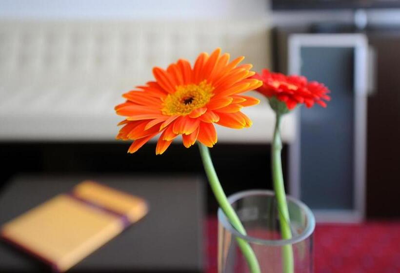 اتاق راحتی, Klassik Berlin