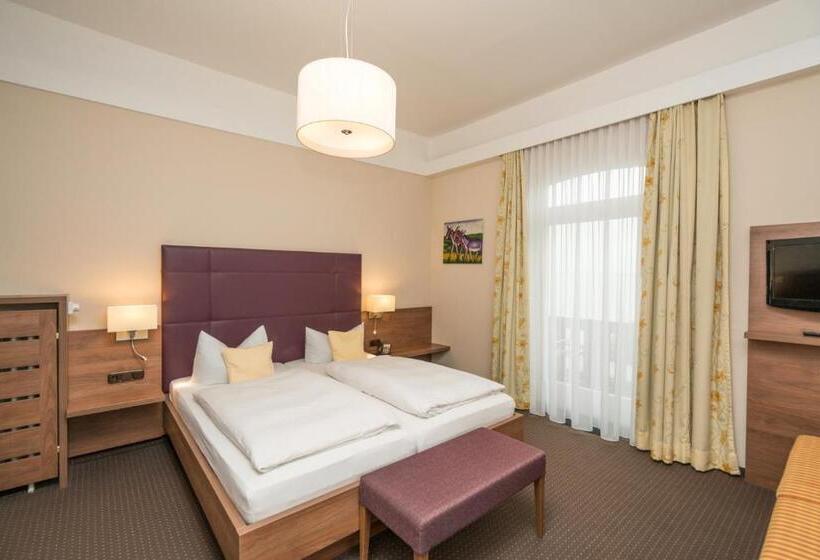 Comfort room with lake view, Seehotel Grauer Bär