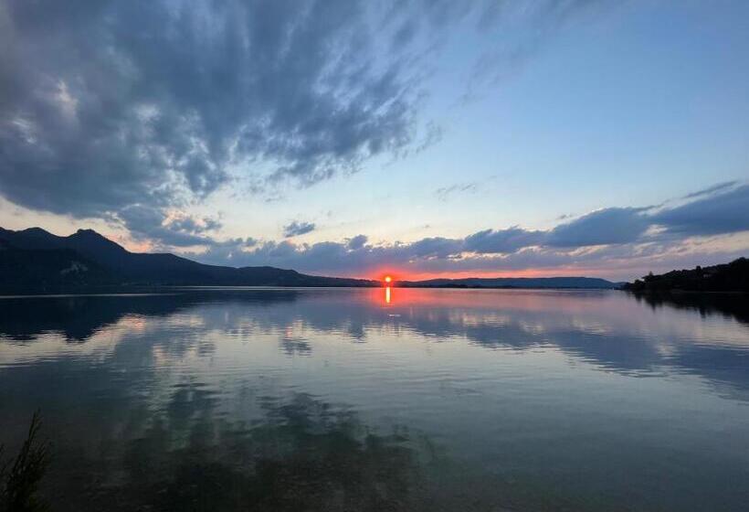 Апартаменты 1 Спальня с Балконом, Seehotel Grauer Bär