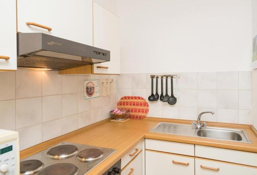 Апартаменты 1 Спальня с Террасой, Seehotel Grauer Bär