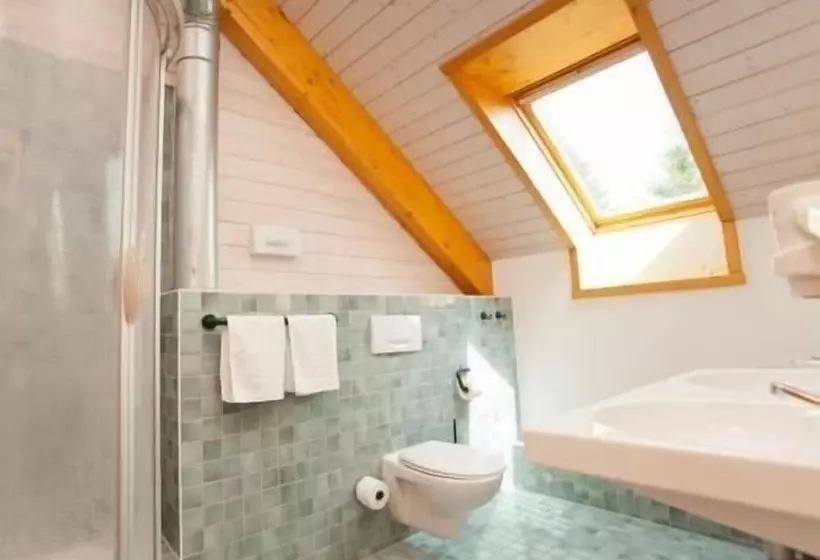 1ベッドルームアパートメント, Wagners Sporthotel Oberhof