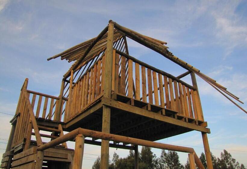 豪华套房, B&b Shambala Hn