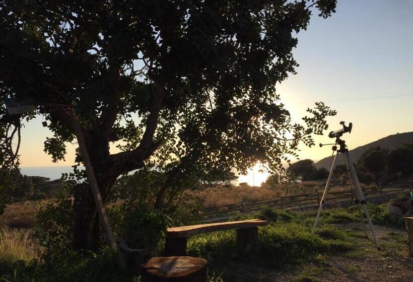 Deluxe Suite Sea View, Beso Patara