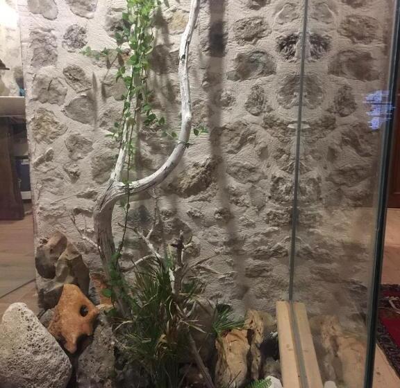 Deluxe Suite Sea View, Beso Patara