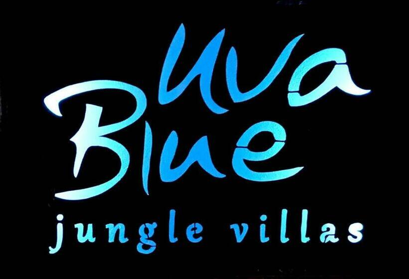 标准间, Villa # 3   High End Studio Apartment