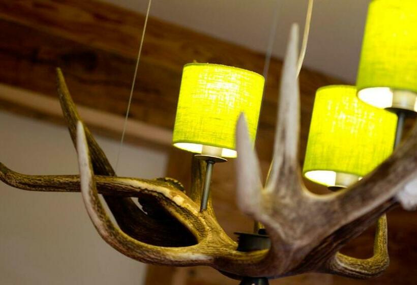 آپارتمان 1 خوابه, Sendlhofer's