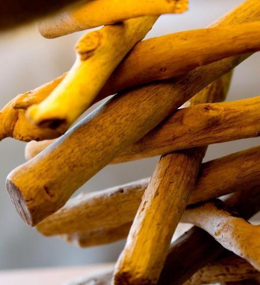 آپارتمان 3 خوابه, Sendlhofer's