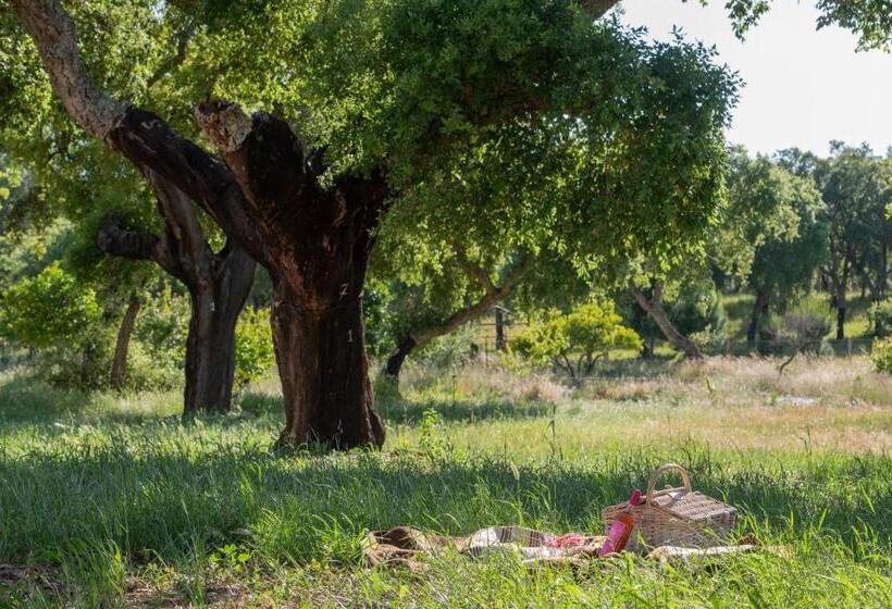 غرفة قياسية, Mystay   Herdade Do Vale Da Abelheira