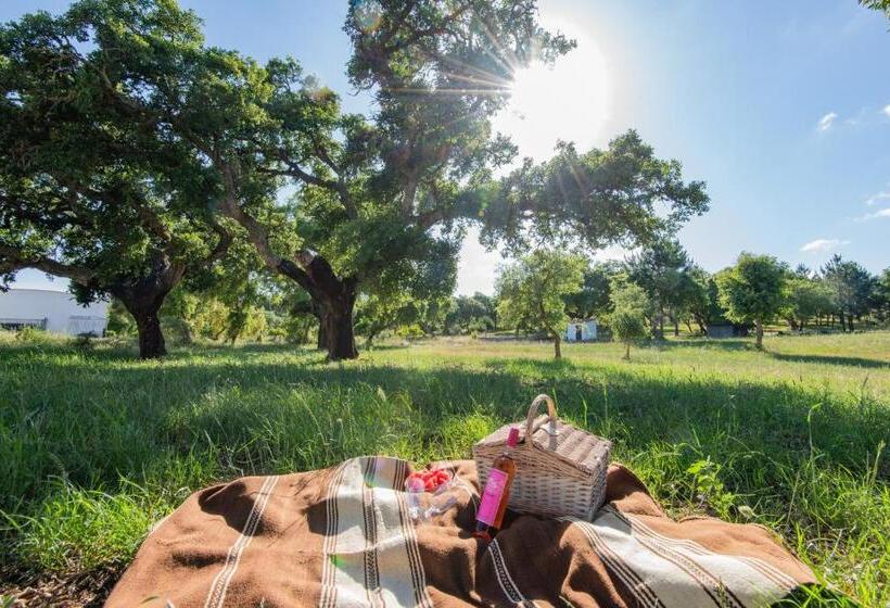 غرفة قياسية, Mystay   Herdade Do Vale Da Abelheira