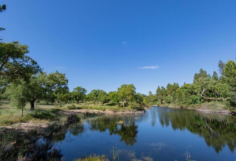 غرفة قياسية, Mystay   Herdade Do Vale Da Abelheira