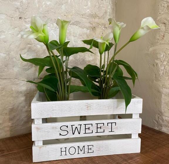 Standardrum med Jacuzzi, Sa Vivenda Suite