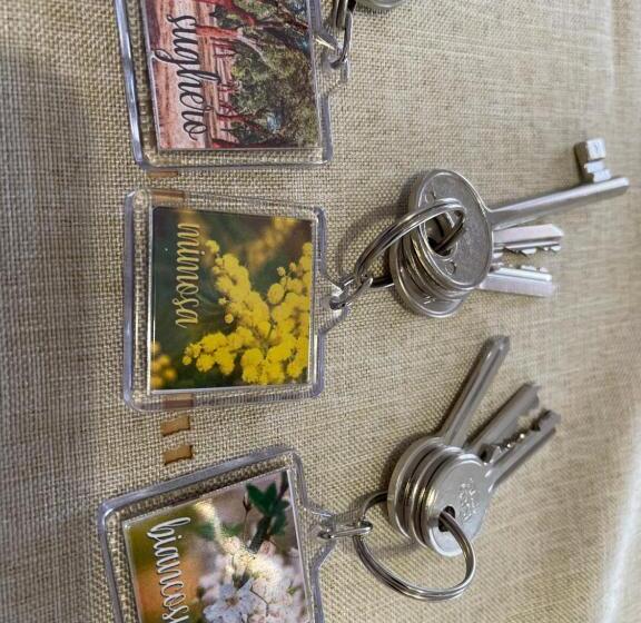 Standardrum, Sa Vivenda Suite