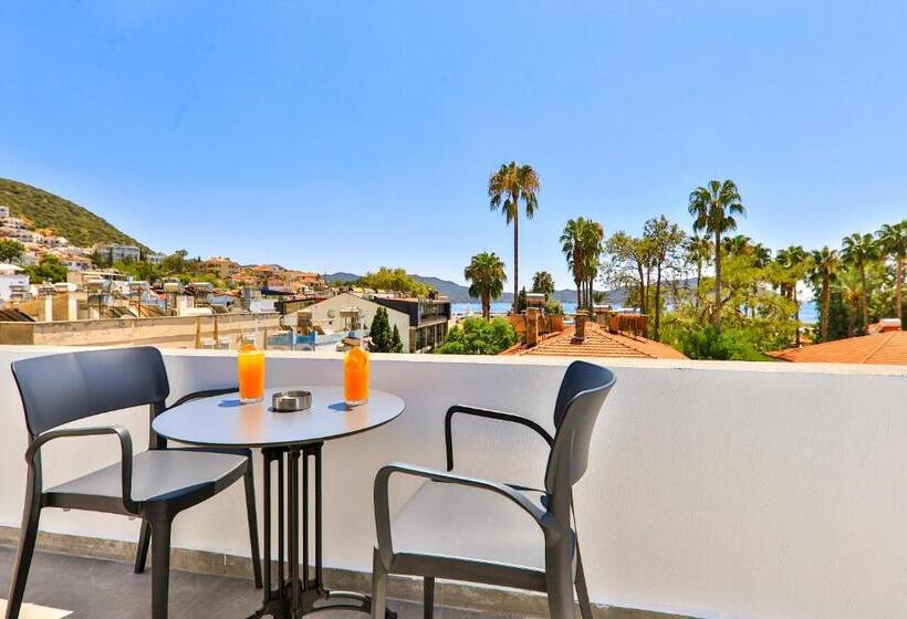 اتاق استاندارد سه تخته با بالکن, Luff Suites