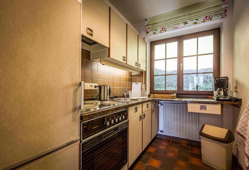 شقة غرفة واحدة مزودة بتراس, Landhotel Sonnleiten