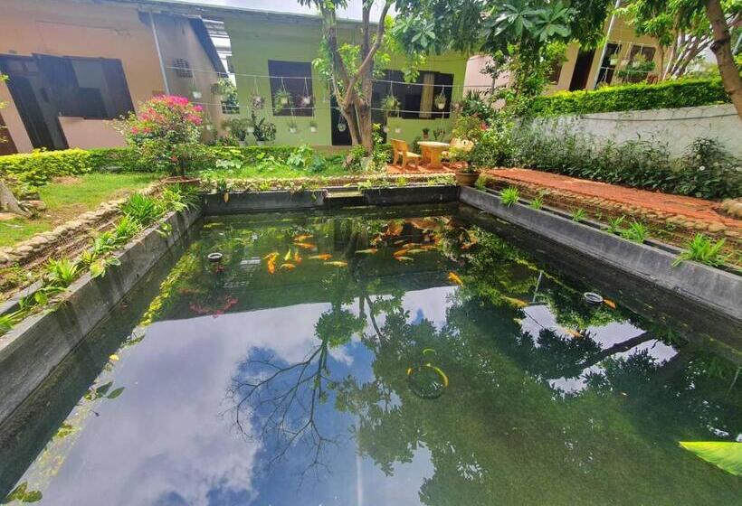 سوییت خانوادگی, Nhà Nghỉ ThẢo NguyÊn Xanh