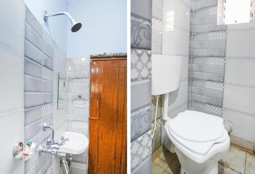 اتاق استاندارد, Spot On Silver Green