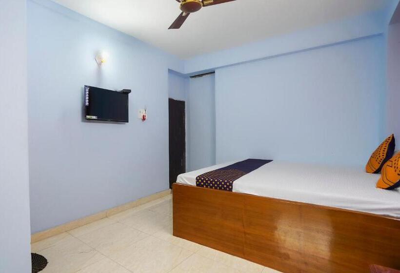 اتاق کلاسیک سه تخته, Spot On Silver Green