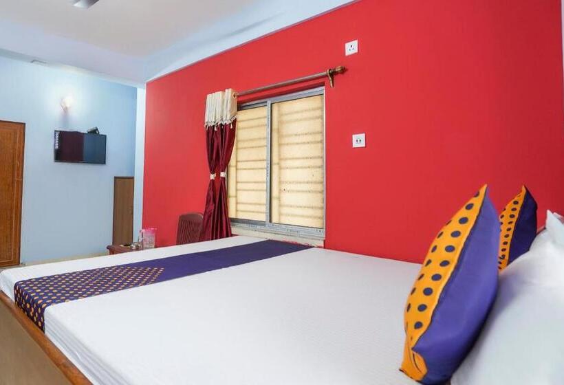 اتاق استاندارد, Spot On Silver Green