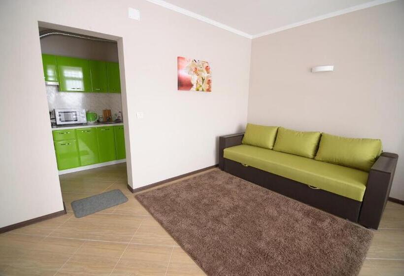 带1个卧室带观景的公寓, Ozone Mini