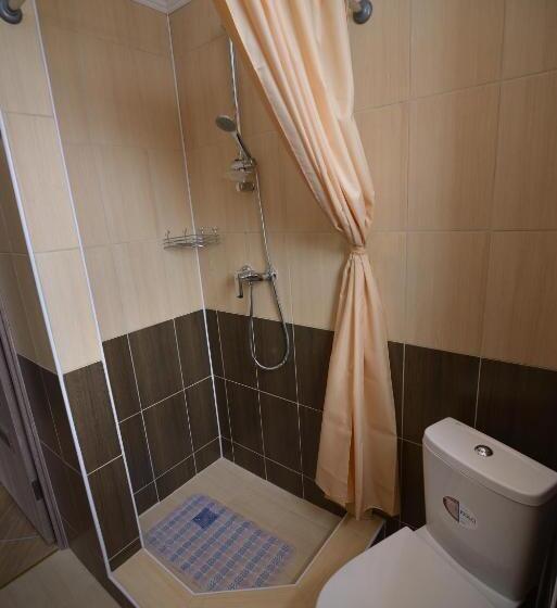 标准间带山景, Ozone Mini