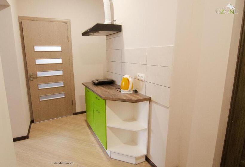 标准间带山景, Ozone Mini