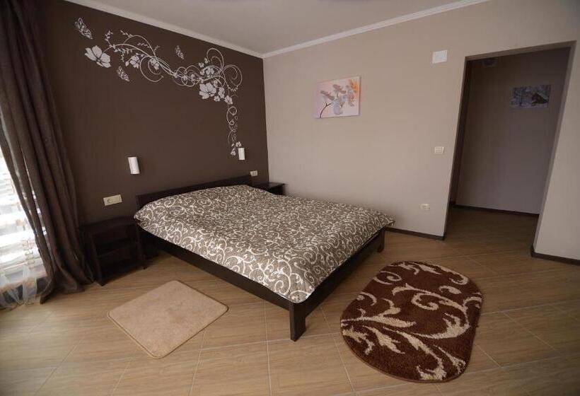 标准间带山景, Ozone Mini