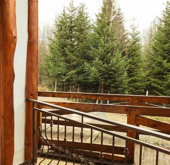 اتاق استاندارد با چشمانداز کوهستان, Dachna Sadyba Pb