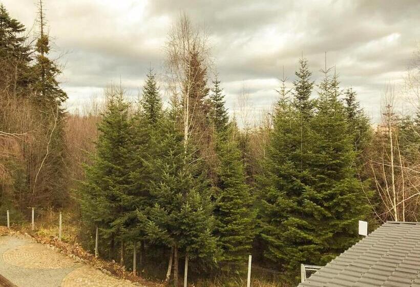 اتاق استاندارد با چشمانداز کوهستان, Dachna Sadyba Pb