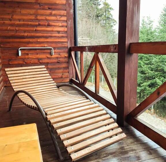 اتاق استاندارد با چشمانداز کوهستان, Dachna Sadyba Pb