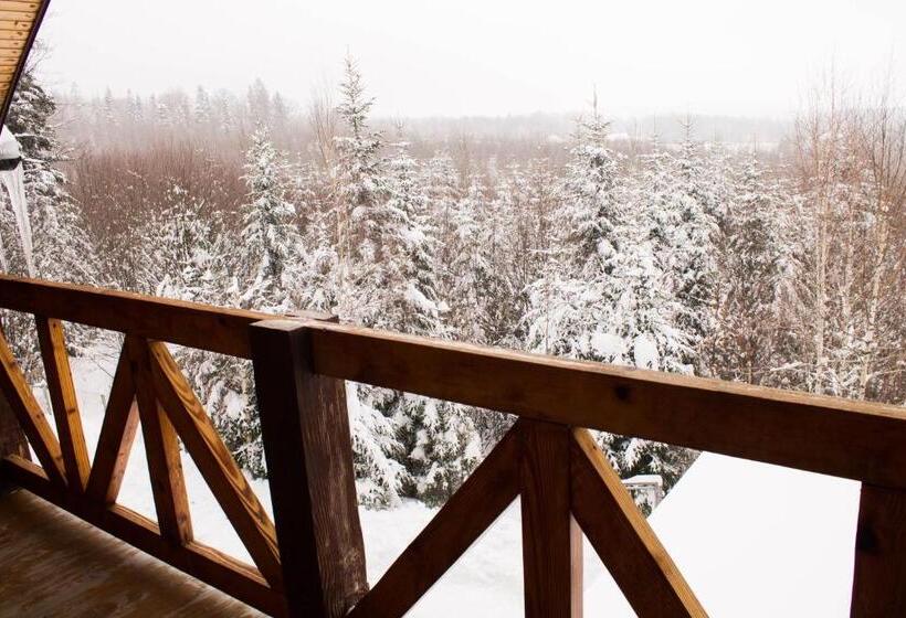 سوییت سوپریور, Dachna Sadyba Pb