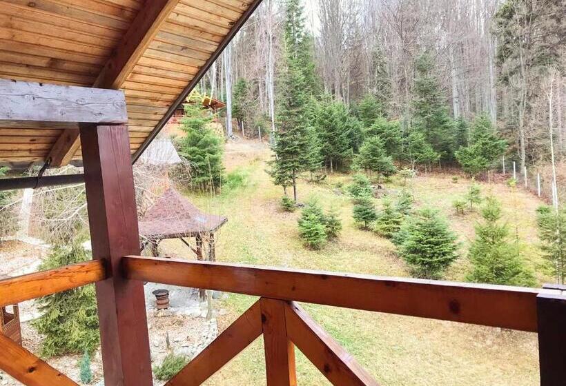 سوییت سوپریور, Dachna Sadyba Pb